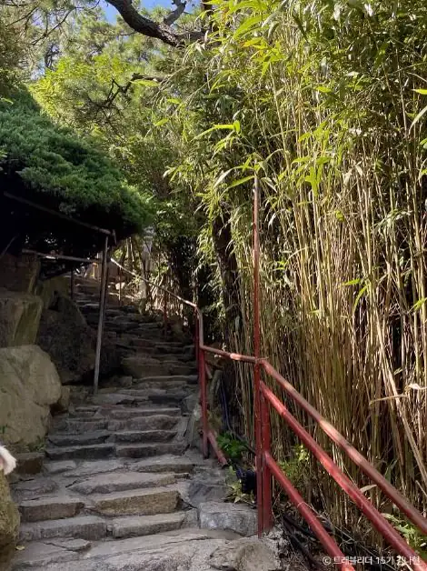 文章圖片