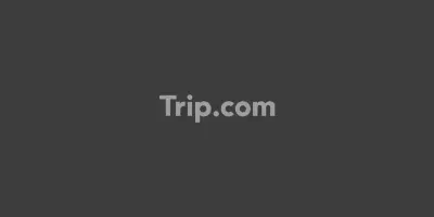 WE Hotel Jeju Superior Twin 真實客房