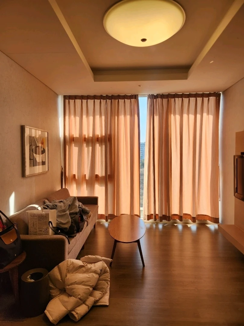 Phoenix Island Jeju Royal 房型 真實客廳