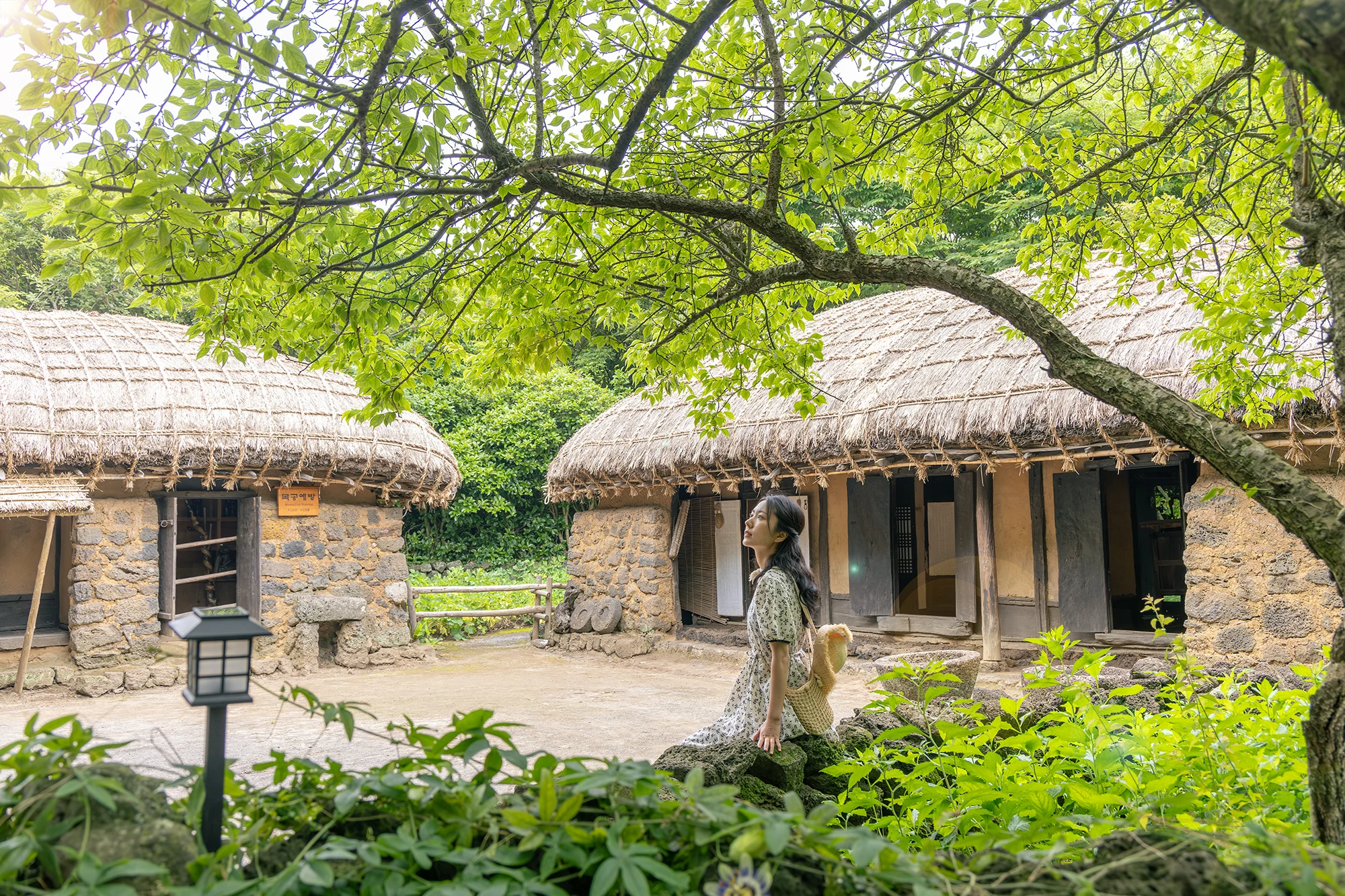 濟州民俗村傳統石屋與茅草屋真實園區照片