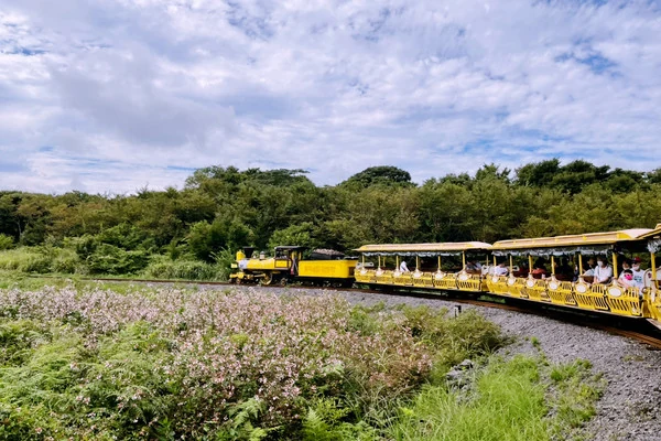濟州 EcoLand 森林列車實景