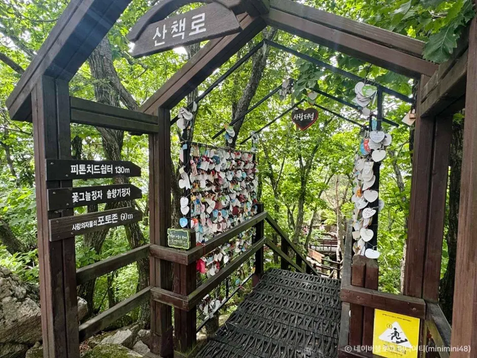 八公山林間石階和步道指示
