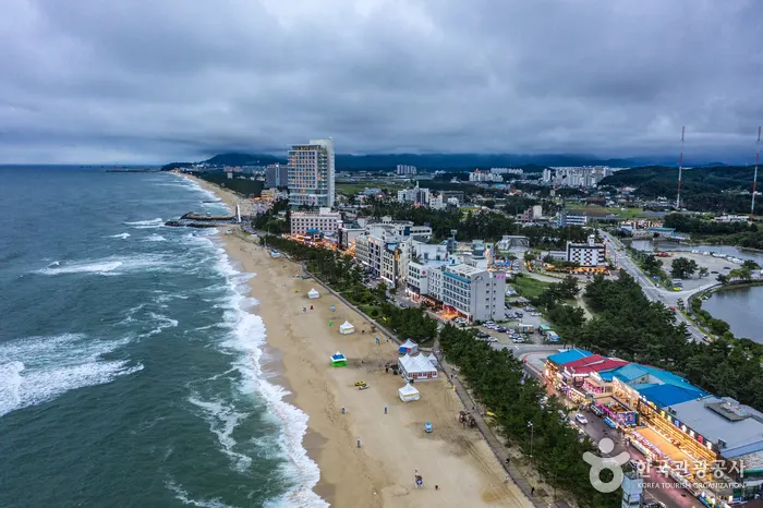 江陵住哪裡?海邊、安木還是車站附近,先看你怎麼到縮圖