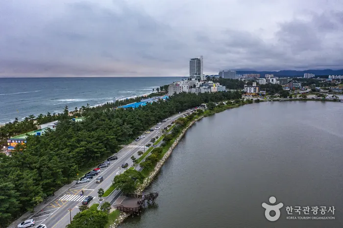 江陵一日行程怎麼排?只選一段海岸,把海風留給下午縮圖