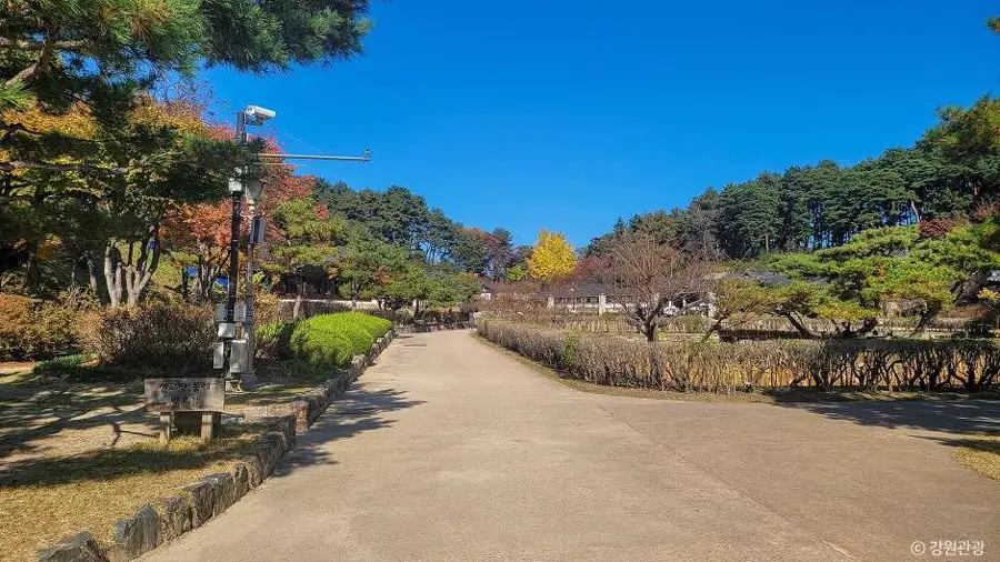 江陵一日行程怎麼排？鏡浦或安木二選一，別把海岸排成接力賽 相關韓國旅行實景 2