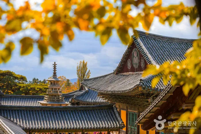 慶州佛國寺值得去嗎?免費入場後先算出城成本|KRINAVI 文章縮圖