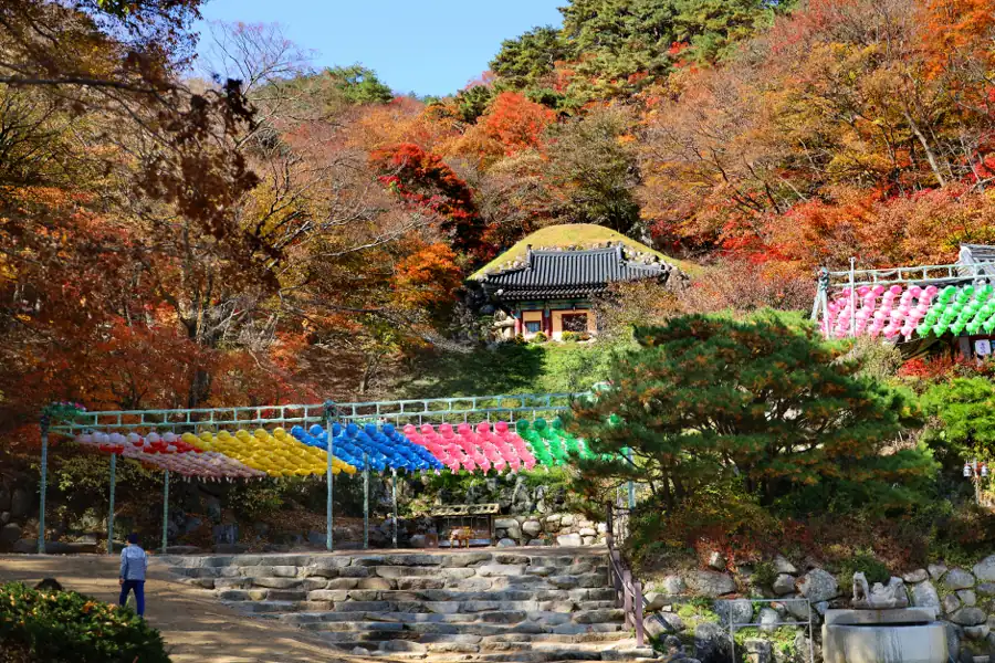 慶州住哪裡?想走古城,還是要把交通留給隔天縮圖