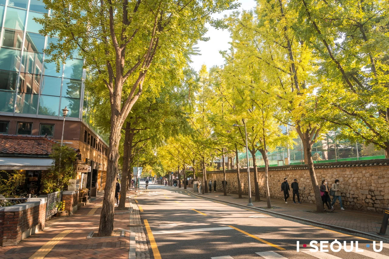 首爾德壽宮石牆路與樹蔭街景，作為帶爸媽住市廳周邊時的中央行程示意