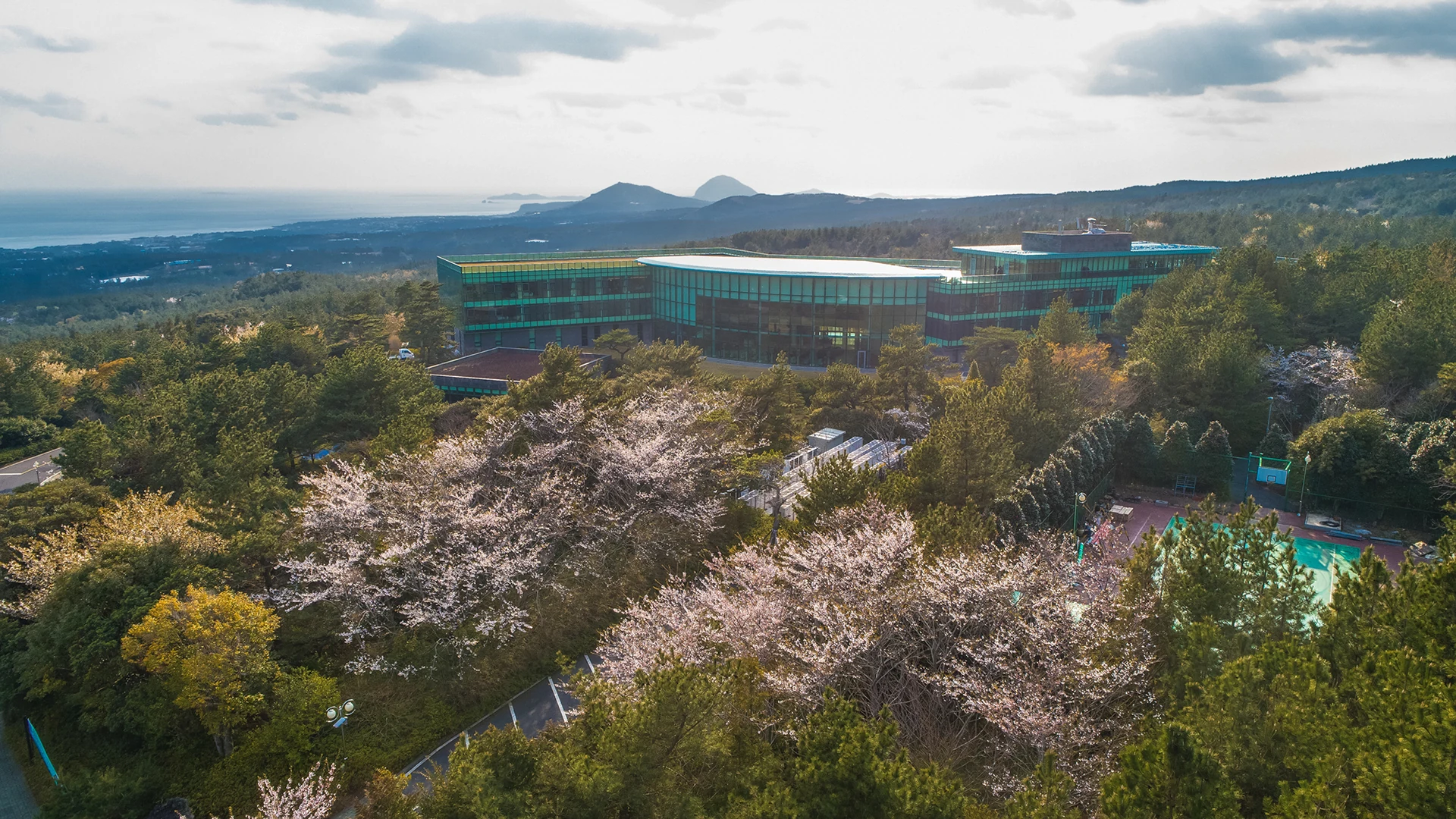 WE Hotel Jeju 位於漢拏山中山間森林的真實飯店外觀